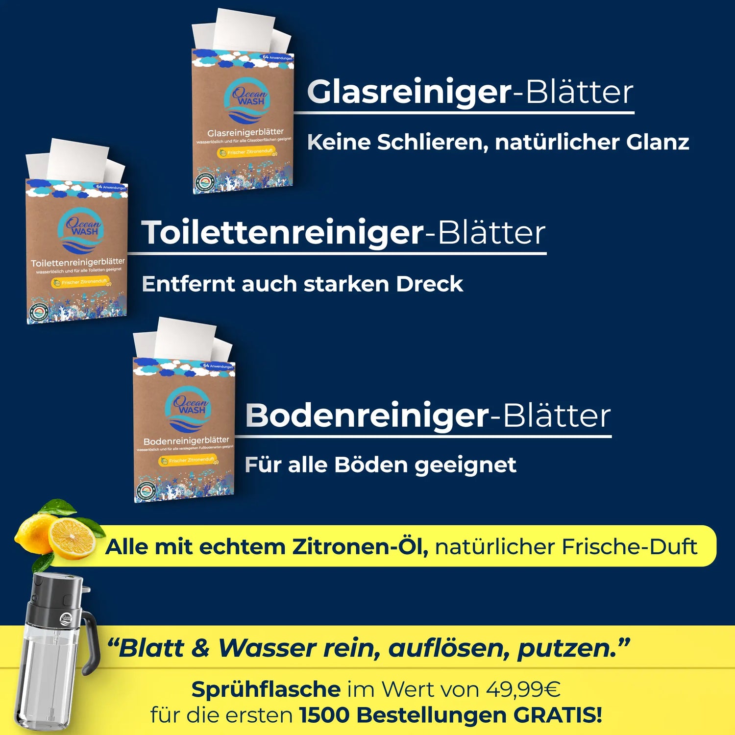 Hausputz-Set