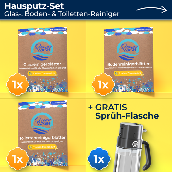 Hausputz-Set