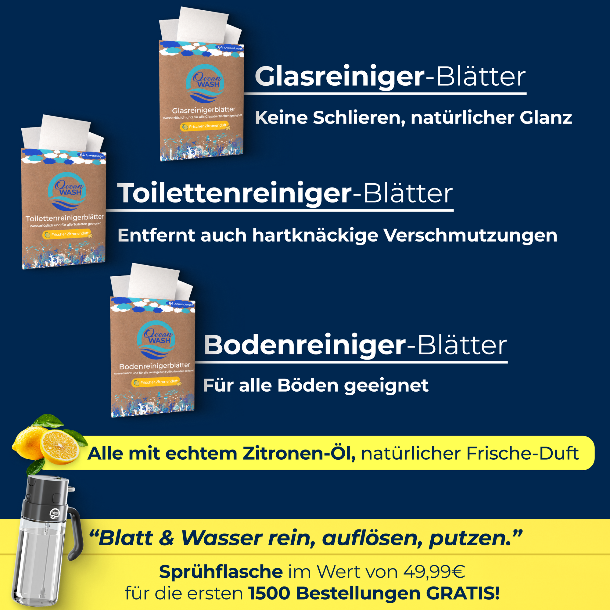 Hausputz-Set