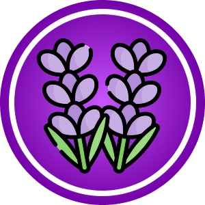 Waschmittel-Blätter Lavendel